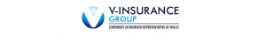 V-Insurance Group