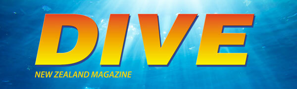 Dive New Zealand magazine