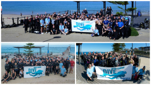 Dive For Cancer 2014 2015 2016