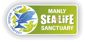 Manly SeaLife sanctuary